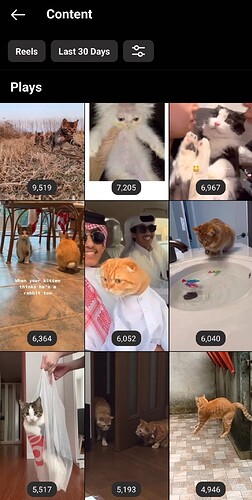 catsig_01