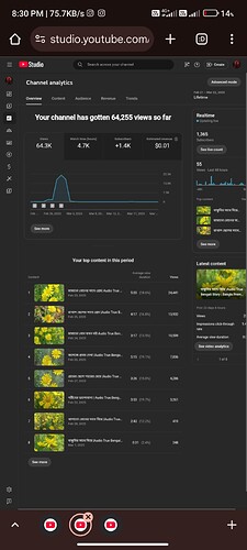 Screenshot_2025-03-23-20-30-48-422_com.android.chrome