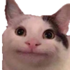 :aliencat: :aliencat: